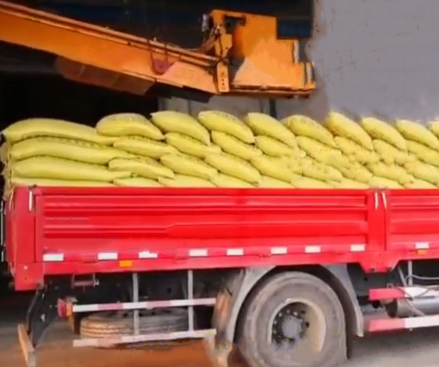 自動裝(zhuang)車機 碼垛裝(zhuang)車機